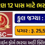 SSC CHSL requirement 2025 : apply for 3131 government vacancy, notification out